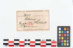 Etikett zu Bronzebuckelarmreif (NHMW-PRAE-026213)